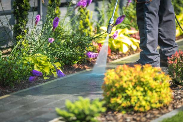Trusted Parks, AZ Pressure Washing Experts