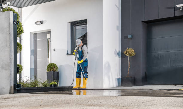 Best Animal Enclosure Cleaning  in Parks, AZ